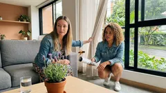 Si una abeja ronda tu casa, esto interpreta el Feng Shui (y cómo actuar con calma)