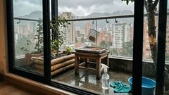 El error común con el comedero que aleja a los pájaros carpinteros (y cómo corregirlo)