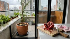 Cómo cultivar un granado en casa (patio o terraza) y evitar sorpresas con las raíces