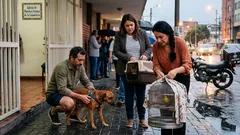 Lo que hay detrás de la bendición de mascotas del 17 de enero: San Antonio Abad y una tradición que sigue viva
